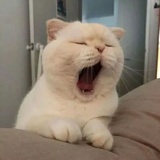 与你无关