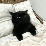 重新开始