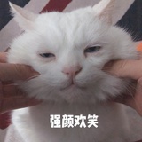 就爱吃梨