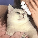 男人收割机器