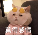 该昵称为化名