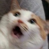 分秋一半