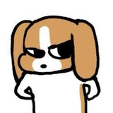 黄金月亮