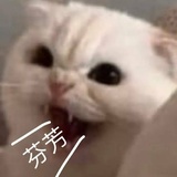 随缘