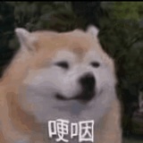 酷爱运动