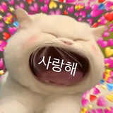 菠萝啵啵_