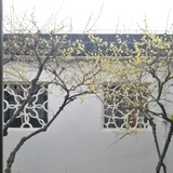 不知春