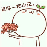 一大只咸鱼伽