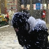 四季奶青三分甜