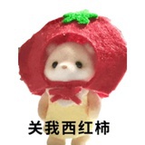 超绝猫头