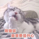 言己释怀