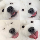 姜炯求之不得