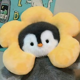 aurooora