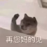 R_VVVV