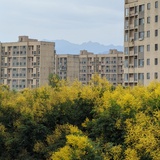 丁丁