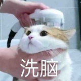 甲击轰