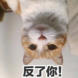 PureMinSue