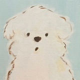 傲
