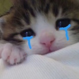 🧃