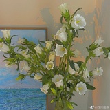 xixixi