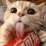 薄荷