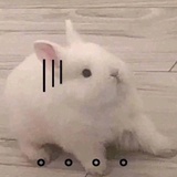 小啊水