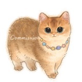 小猫爱吃虾