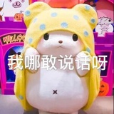 柠檬水不加冰