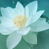 忙碌的努力着
