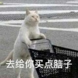 YY