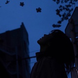 月亮🌙