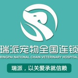 瑞派守望者宠物