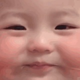 每天都在看电视