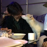 王晨艺的女友粉