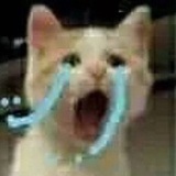 泱