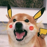 顾笑连连