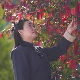 毅然说风水