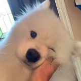 这是可以说的吗
