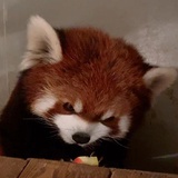 哈希函数