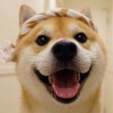 666
