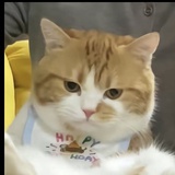 复始