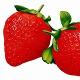 小草莓🍓
