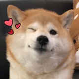 娘口三三