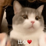 嘛哩嘛哩哄