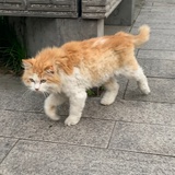 水水