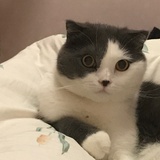 豆友198321458
