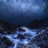 逐西风鸭