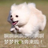 千与千寻