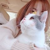 👉 望长安于日下