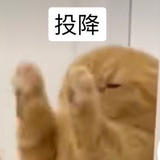 yyy